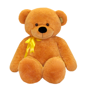 Teddy bear PNG