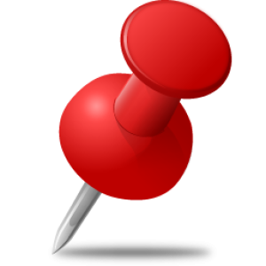 Pin PNG