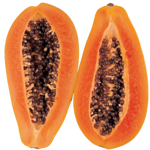 Papaya PNG
