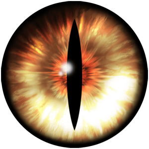 Eye PNG