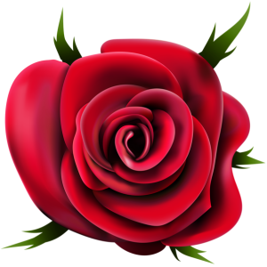 Rose PNG