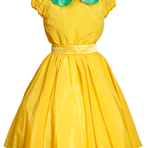 Dress PNG
