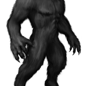 Werewolf PNG