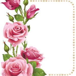 Floral frame PNG