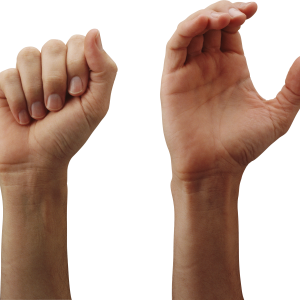 hand PNG