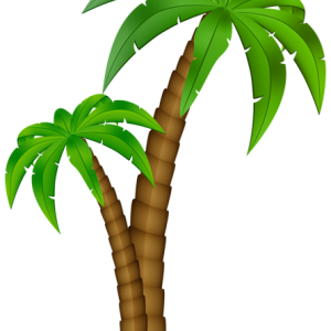 Palm tree PNG