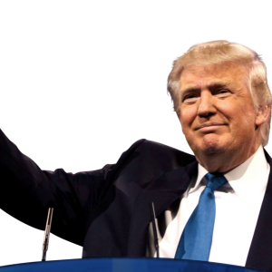 Donald Trump PNG