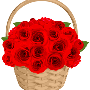 Rose PNG