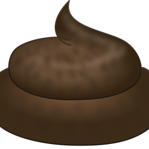 Poop PNG