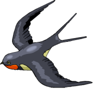 Swallow PNG