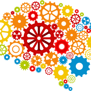 Brain PNG