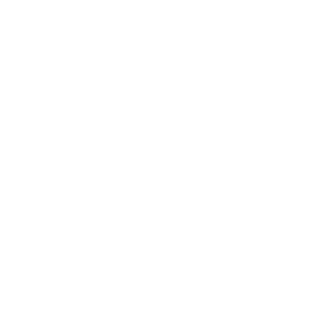 Russian ruble PNG