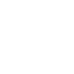 Ozon logo PNG