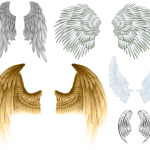 Wings PNG
