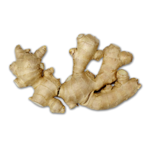 Ginger PNG