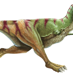 Dinosaur PNG
