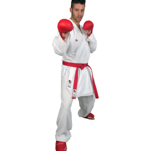 Karate PNG