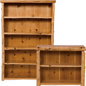 Bookshelf, bookcase PNG