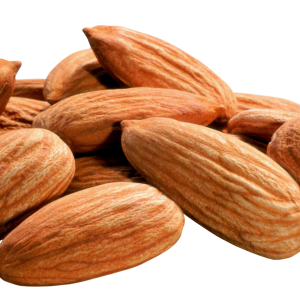 Almond PNG