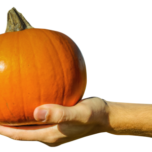 Pumpkin PNG