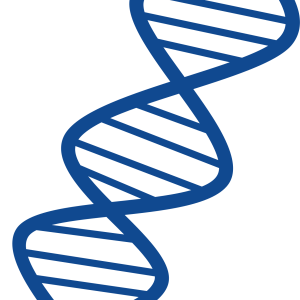 DNA PNG