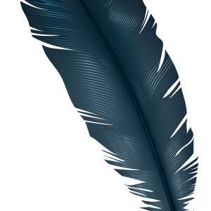 dark feather PNG