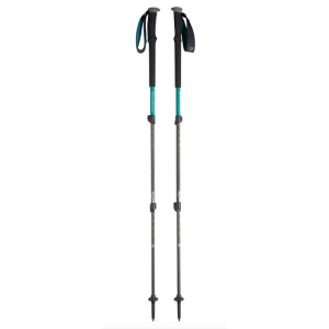 Trekking pole PNG