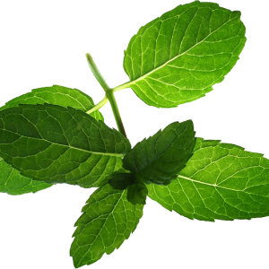 Pepermint PNG