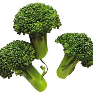 Broccoli PNG