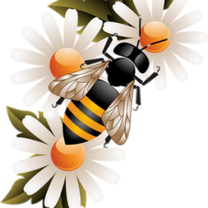 Bee PNG