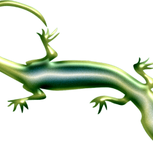 Gecko PNG