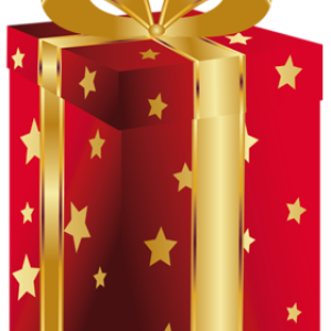 Gift box PNG image