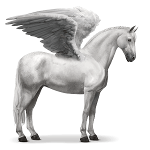 Pegasus PNG