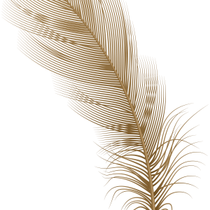 Feather PNG