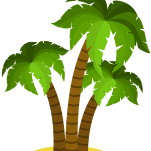 Palm tree PNG
