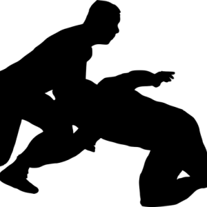 Wrestling PNG