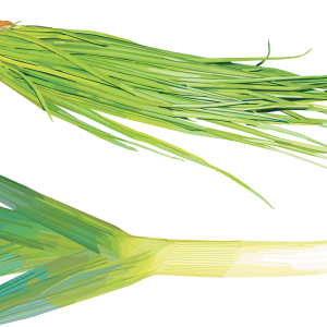 Leek PNG