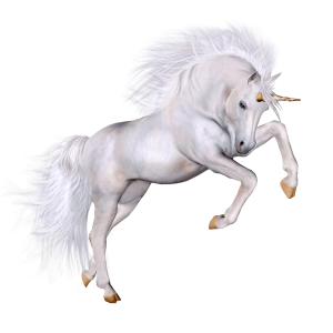 Unicorn PNG