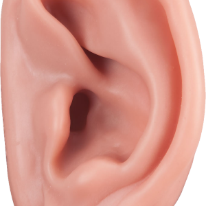 Ear PNG