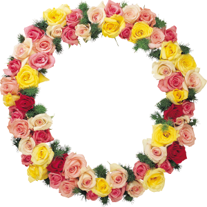 Floral frame PNG