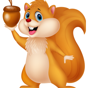 Squirrel PNG