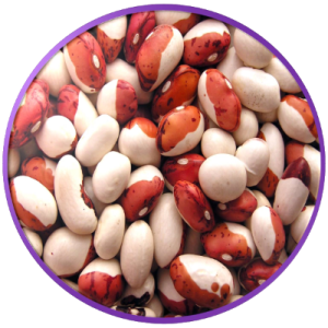 Kidney beans PNG