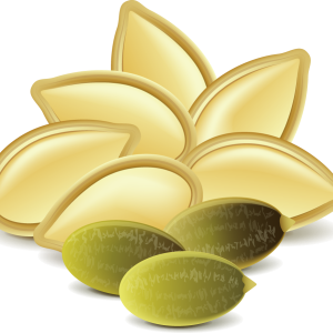 Pumpkin seeds PNG