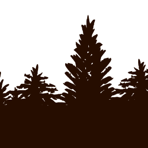 Forest PNG