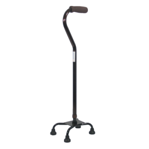 Walking stick PNG