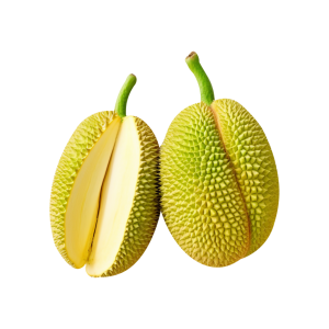 Jackfruit PNG