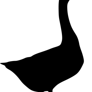 Goose PNG