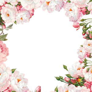 Floral frame PNG