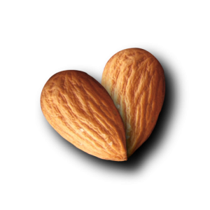 Almond heart PNG