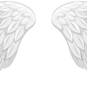 Wings PNG